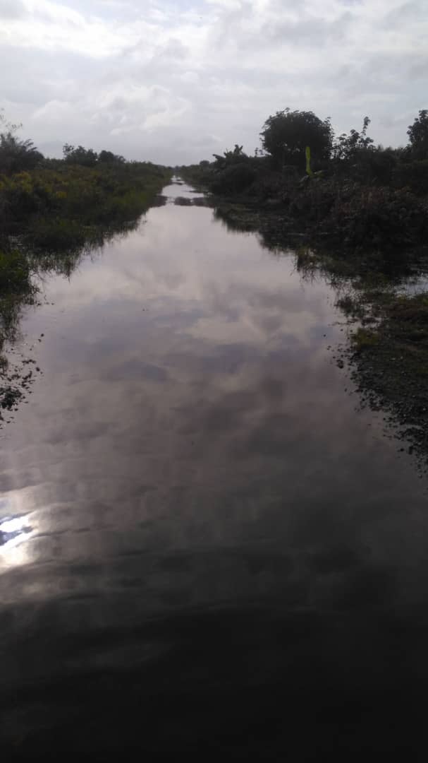 Jalan menuju ke Kampung Batang Maro